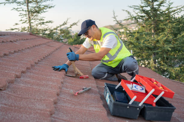 Professional Roofing Contractor in Prospect, PA